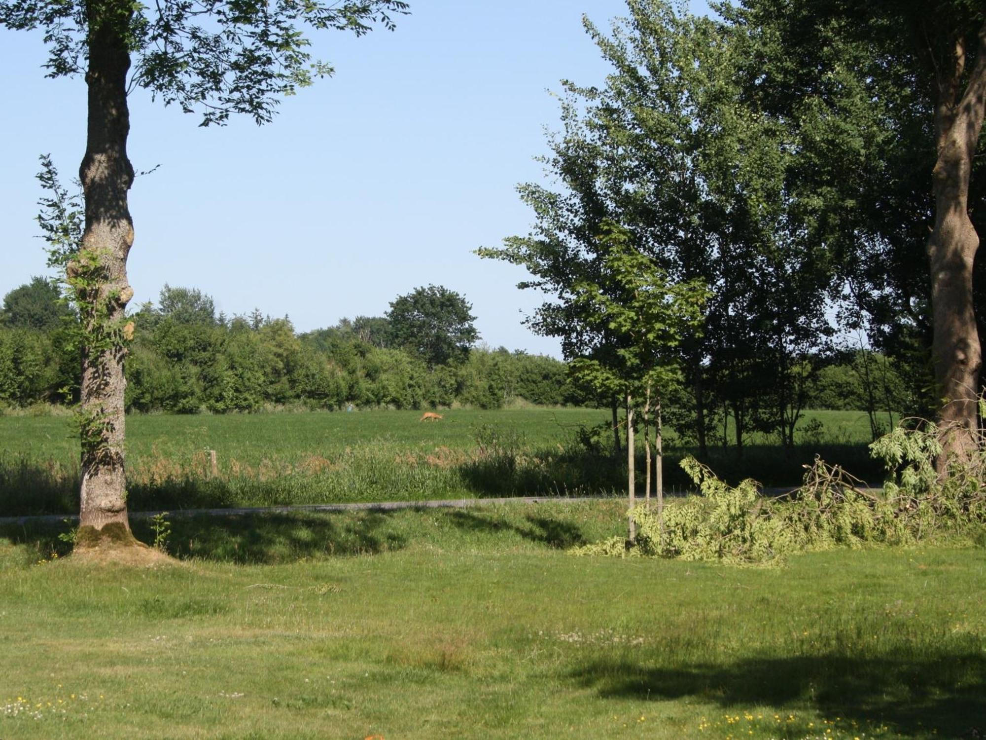 Detjens - Fewo In Ruhiger Lage Mit Terrasse Und Garten Ellingstedt Exterior foto